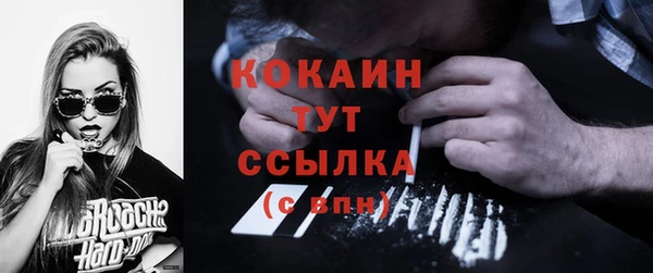 бошки Богородицк