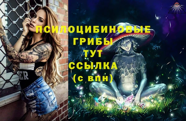 бошки Богородицк