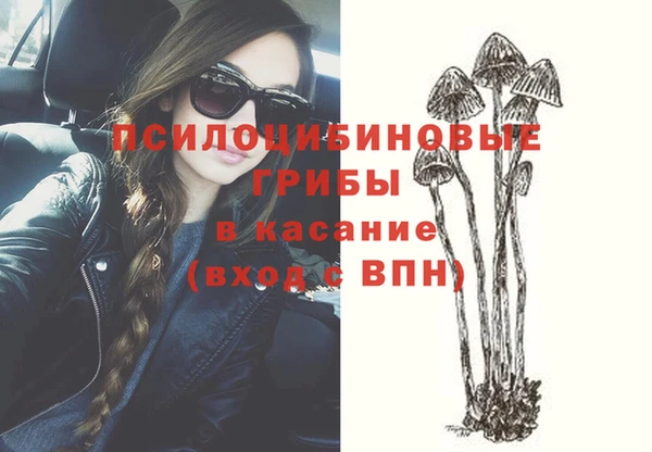 прущая мука Богородск