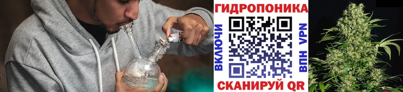 купить наркотики цена  Бобров  Бошки Шишки сатива 